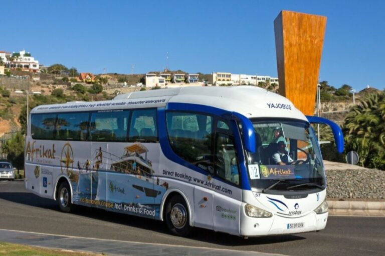 Gran Canaria: Fun Catamaran Cruise with Food and Drinks - The Itinerary in Detail