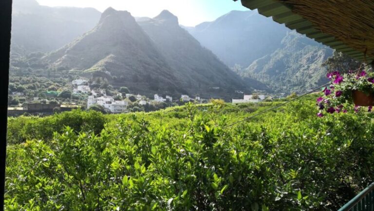 Gran Canaria: Grand Island Tour by Bus with Transfers - The Coastal Highlights: From the South to the impressive Montañas Azules