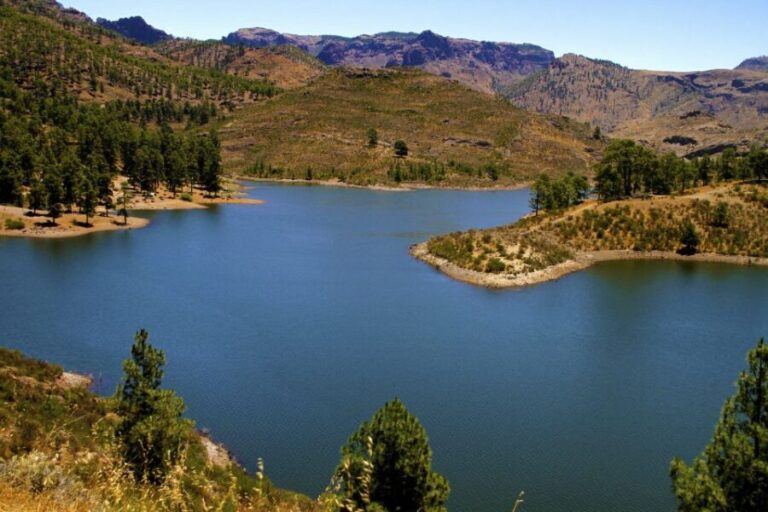 Gran Canaria Highlights Full-Day Tour by Bus - The Itinerary: What You’ll See and Do