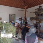 Gran Canaria: Highlights Wine Tasting Tour & shore excursion - What to Expect from the Tour