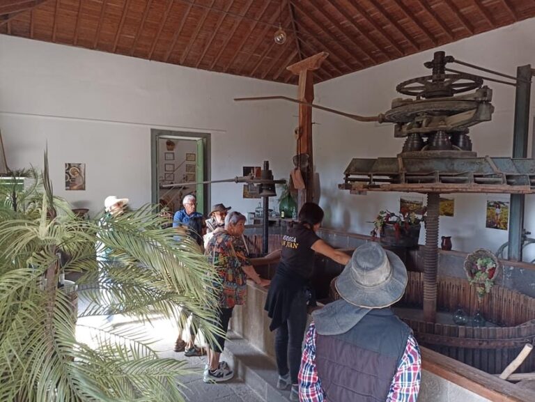 Gran Canaria: Highlights Wine Tasting Tour & shore excursion - What to Expect from the Tour