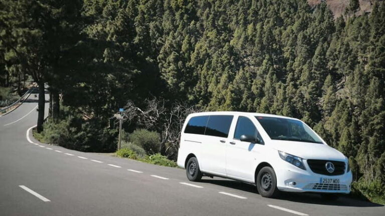 Gran Canaria: Island Highlights Tour with Optional Lunch - What’s Included and What’s Not