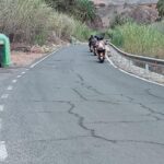 Gran Canaria: Los Pilancones Natural Park e-Scooter Tour - What Travelers Are Saying