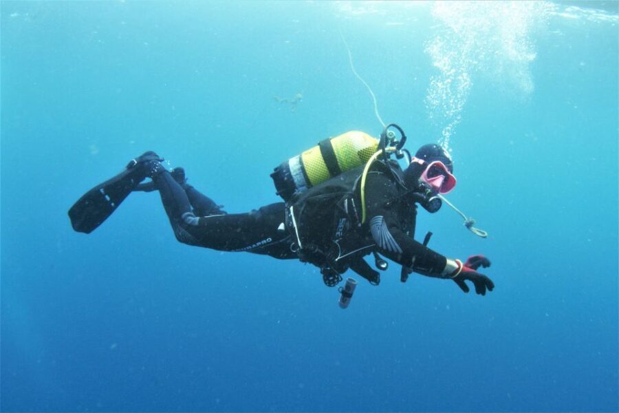 Gran Canaria: Morning Scuba Dive - The Highlights of This Experience