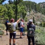 Gran Canaria: "Peaks of Gran Canaria" Hiking Tour - What to Expect in Terms of Difficulty and Effort