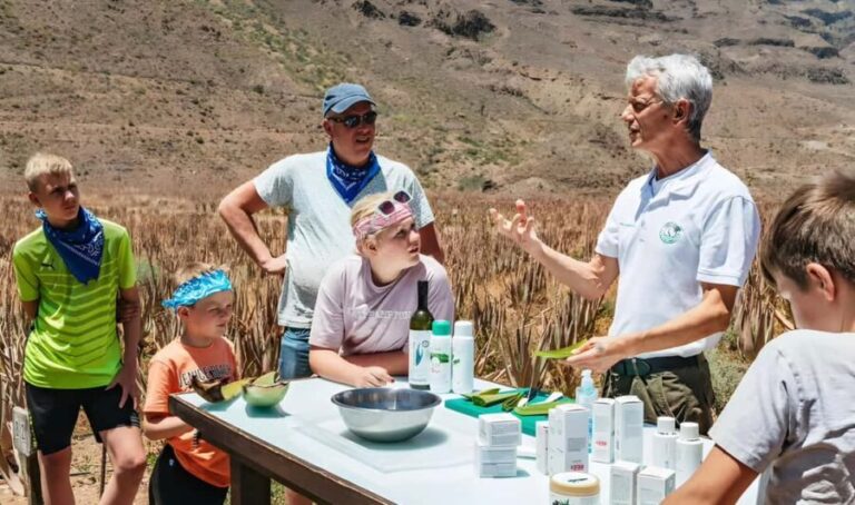 Gran Canaria: Premium Safari 4x4 Tour with Local Guide - Visiting Ayacata and San Bartolomé de Tirajana