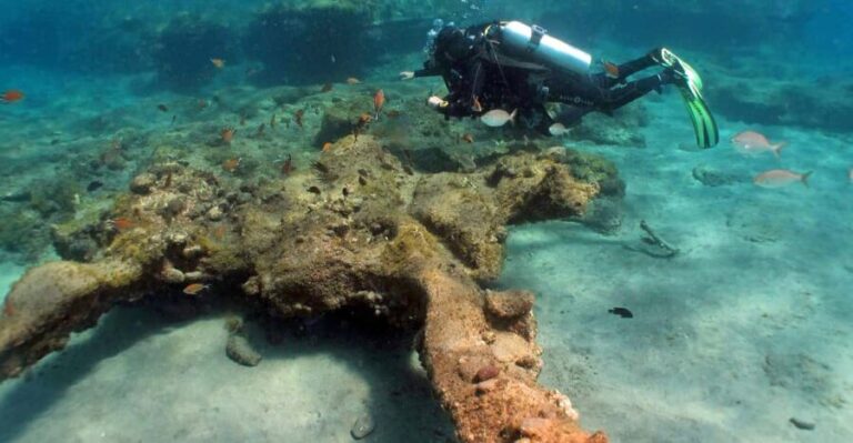 Gran Canaria Scuba Diving: 3-Day 6-Dive Package - Who Will Love This Experience?