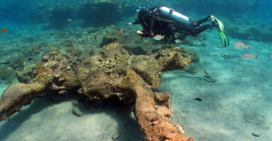 Gran Canaria Scuba Diving: 3-Day 6-Dive Package - Who Will Love This Experience?