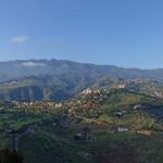 Gran Canaria Shore Excursion Rum Tasting & Scenic Villages - An Honest Look at the Experience