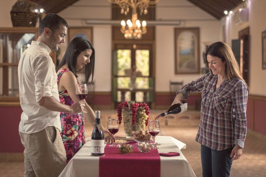 Gran Canaria: Winery Tour, Wine Museum, and Tasting - Who Will Love This Tour?