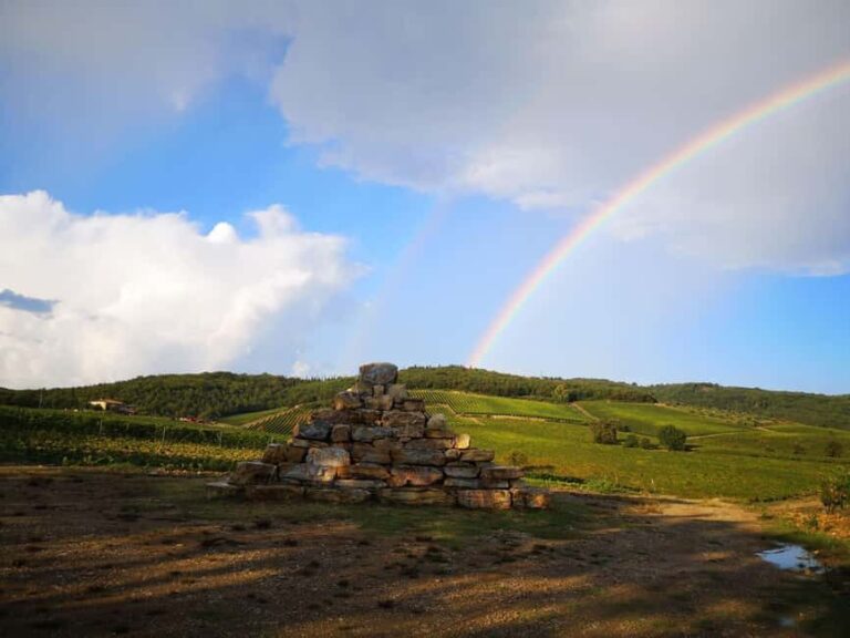 Gran Cru Wines Tasting - Mocenni Estate - The Tasting Experience: A Taste of History and Local Flavor