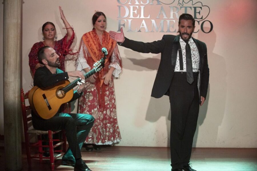 Granada: 1-Hour Traditional Flamenco Show - The Cultural Significance & Why It Matters