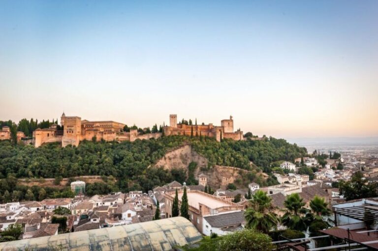Granada: Alhambra Complex Guided Tour Options - The Guide and Overall Experience
