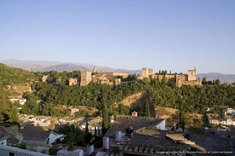 Granada: Alhambra Guided Tour and Flamenco Show - The Practicalities: Whats Included & Whats Not