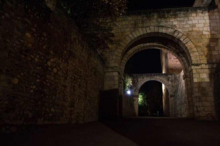 Granada: Alhambra Night Visit Entry Ticket - What You Can Expect From the Night Visit