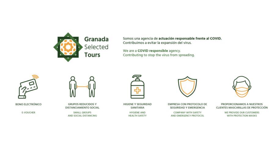 Granada: Fast-Track Alhambra & Nasrid Palaces Guided Tour - The Experience: What to Expect During the Tour