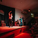 Granada: Flamenco Show in La Alboreá - Who Is This Tour Best For?