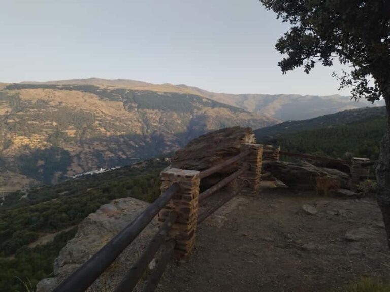 Granada: Full-Day South Tour with Guide - The Real Value in This Experience