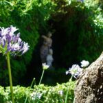 Granada: Gardens of Carmenes Guided Tour - A Closer Look at the Itinerary