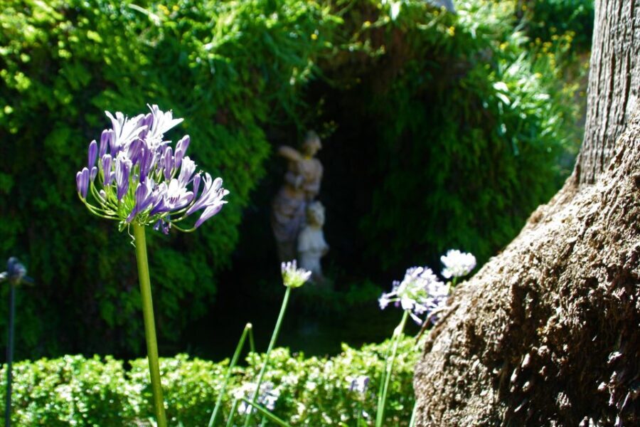 Granada: Gardens of Carmenes Guided Tour - A Closer Look at the Itinerary