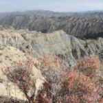 Granada: Gorafe Desert E-Mountain Bike Tour with Transfer - What Makes This Tour Stand Out?