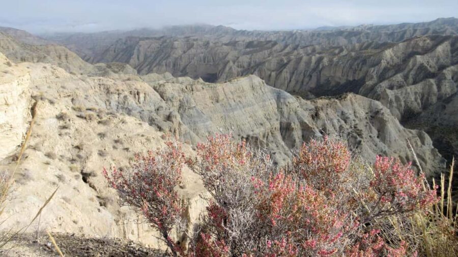 Granada: Gorafe Desert E-Mountain Bike Tour with Transfer - What Makes This Tour Stand Out?