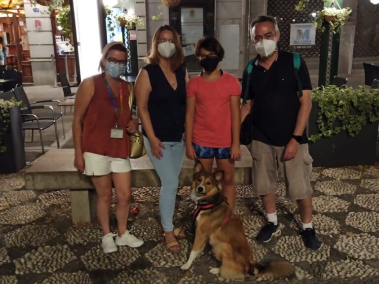 Granada: Guided Albaicín Visit with Pets - What Makes This Tour Stand Out?