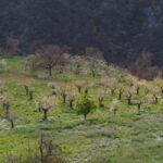 Granada: Guided Hiking Tour - What the Experience Feels Like