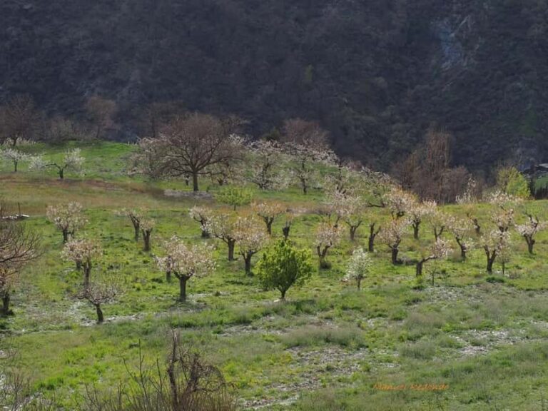 Granada: Guided Hiking Tour - What the Experience Feels Like