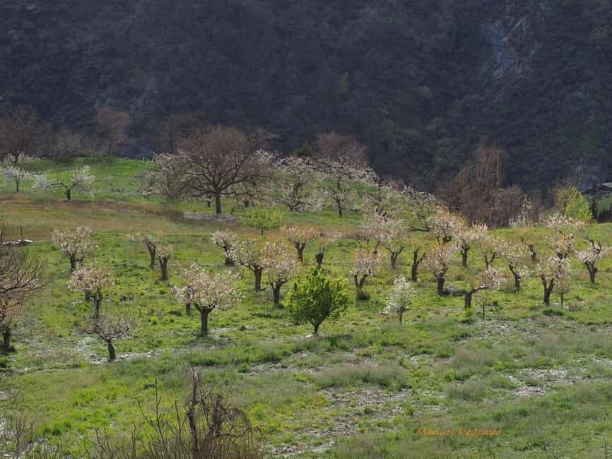 Granada: Guided Hiking Tour - What the Experience Feels Like