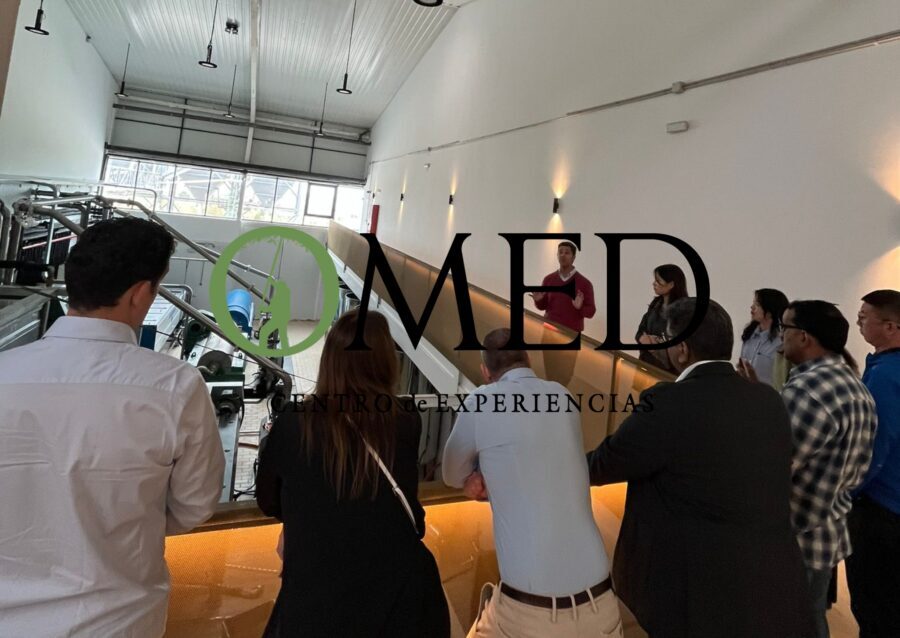 Granada in EVOO: Guided tour and unique sensorial tasting - What You’ll Love