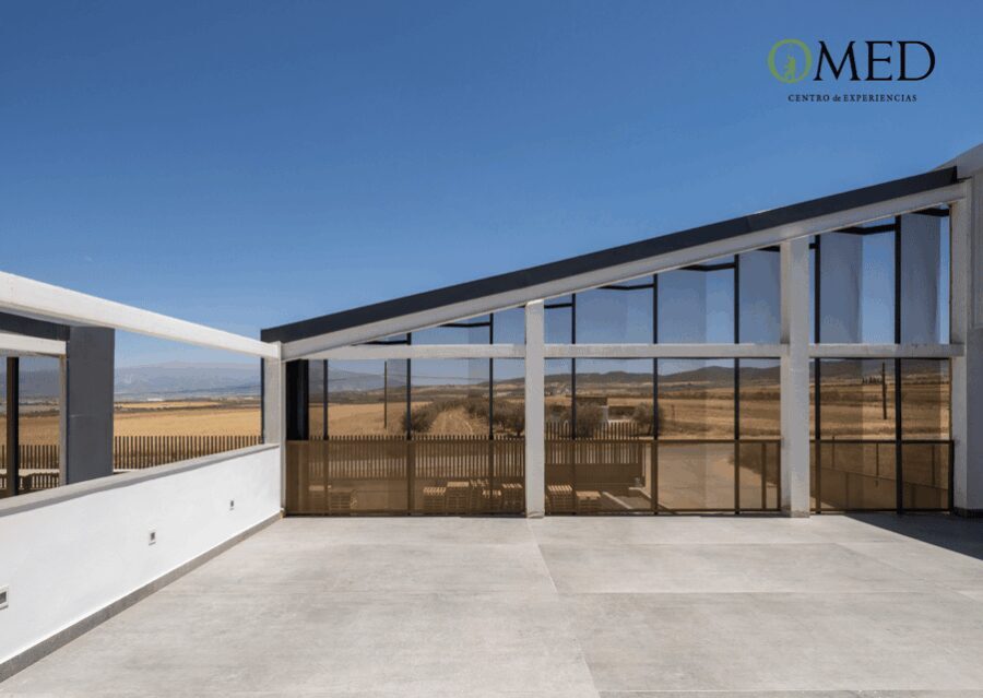 Granada in EVOO: Picnic among olive trees and unique views - What Makes This Tour Stand Out