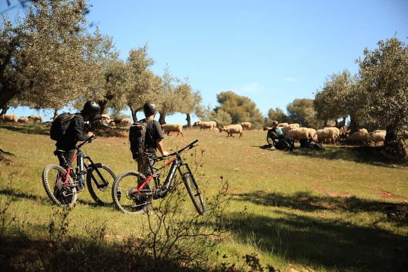 Granada: Nature, Wildlife and Authentic Villages E-bike Tour - What Makes This Tour Stand Out?