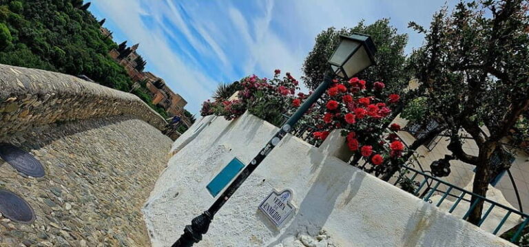 Granada: "Street Art & The Caves" Unique Guided Walking Tour - Discovering Granada’s Diverse Neighborhoods