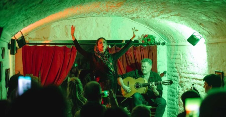 Granada: Traditional Flamenco Show in a Cave Entry Ticket - The Experience in Practice