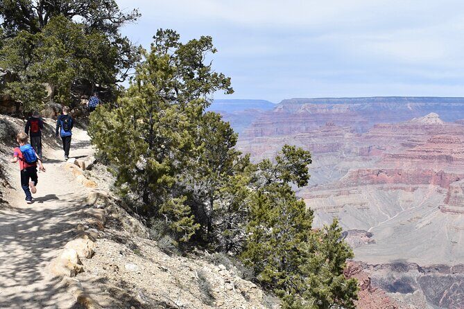 Grand Canyon South Rim and Route 66 with Lunch - What Travelers Say: Authentic Experiences and Honest Feedback