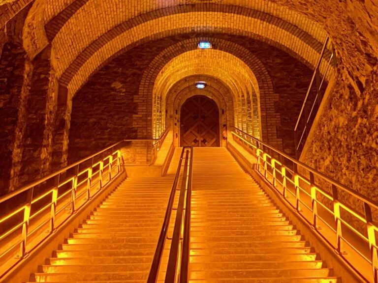 Grand Vintage Private Champagne Moet Chandon Veuve Clicquot - Lunch in Épernay