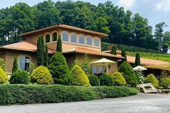 Grandfather Mountain Private Wine & Dine Tour from Asheville - Small Town Charm: Black Mountain