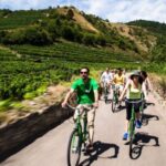 Grape Grazing: Wachau Valley Winery Biking Tour - What Travelers Say