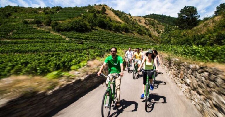 Grape Grazing: Wachau Valley Winery Biking Tour - What Travelers Say
