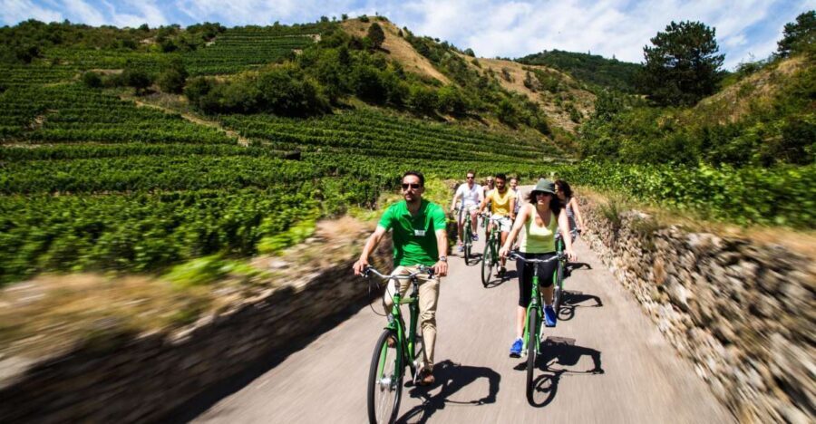 Grape Grazing: Wachau Valley Winery Biking Tour - What Travelers Say