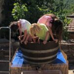 Grape Stomping Experience and Wine Tasting - The Experience in Detail