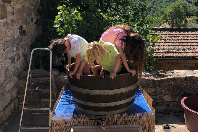 Grape Stomping Experience and Wine Tasting - The Experience in Detail