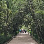 Green Oasis & Ston Wine Adventure Tour with Tickets - Exploring the Dubrovnik Riviera in a Day