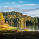 Greenock: Loch Lomond, Trossachs & Stirling Castle Tour - What’s Included & What’s Not