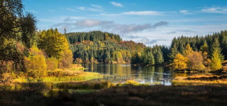 Greenock: Loch Lomond, Trossachs & Stirling Castle Tour - What’s Included & What’s Not