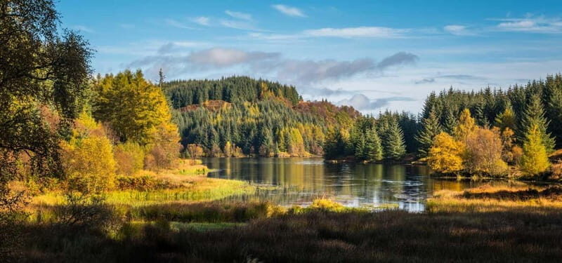 Greenock: Loch Lomond, Trossachs & Stirling Castle Tour - What’s Included & What’s Not