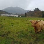 Greenock: Shore Excursion to Stirling Castle and Loch Lomond - The Practicalities