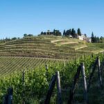 Greve in Chianti: Tenuta Casenuove Wine Tour & Tasting - The Practicalities