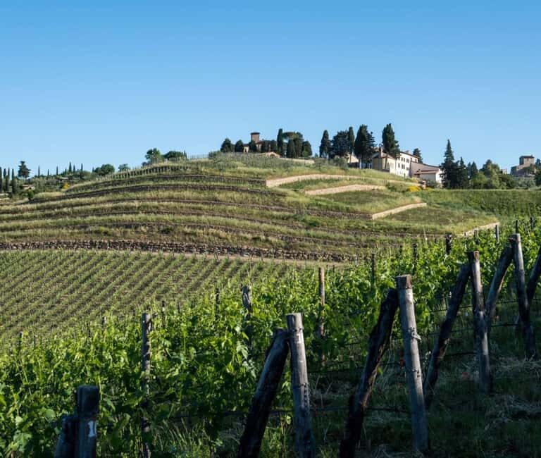 Greve in Chianti: Tenuta Casenuove Wine Tour & Tasting - The Practicalities